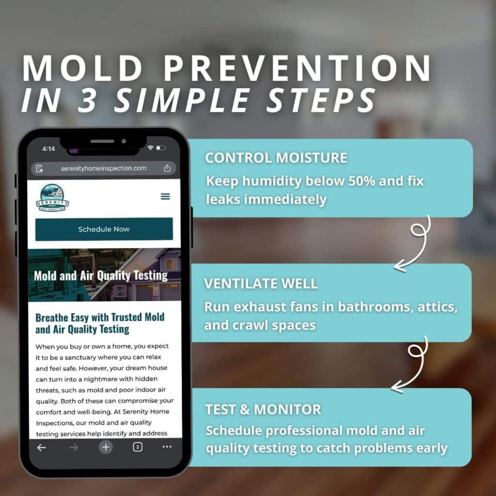 having a professional mold test helps prevent health issues and future growth