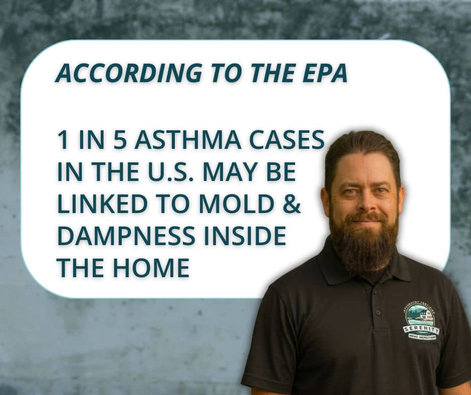 An infographic combining a prominent text panel and a portrait. A light-blue rounded panel on the left displays text stating: 'ACCORDING TO THE EPA, 1 IN 5 ASTHMA CASES IN THE U.S. MAY BE LINKED TO MOLD & DAMPNESS INSIDE THE HOME'. To the right stands a smiling bearded man wearing a black polo shirt with the Serenity Home Inspections logo. The background is blurred mottled concrete.
