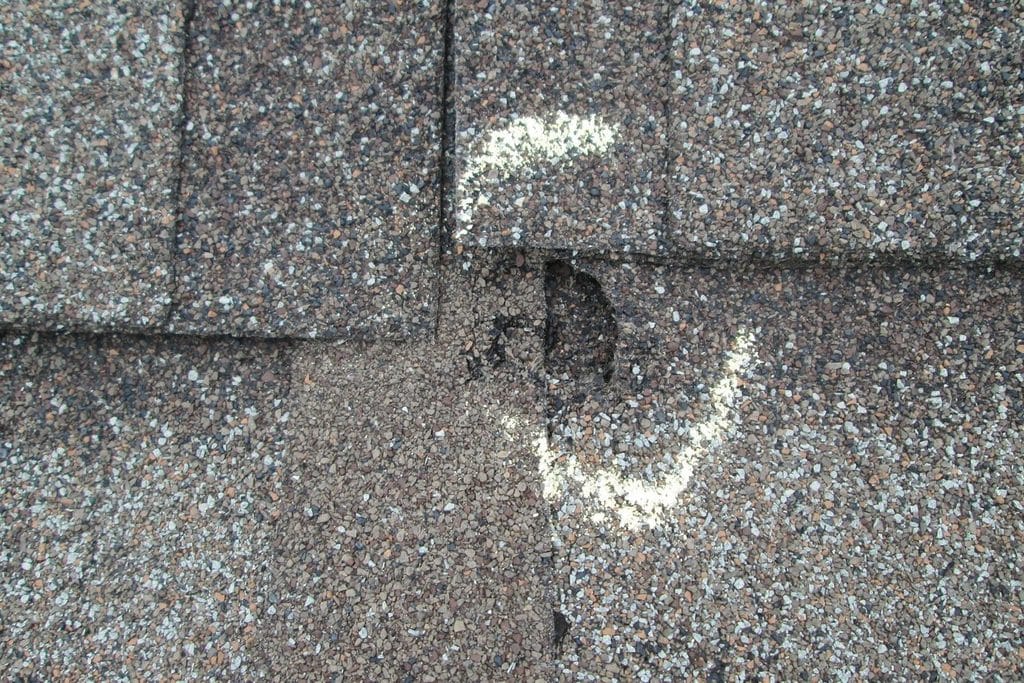 Hail impact mark and granule loss on an asphalt shingle, circled in chalk during a roof inspection